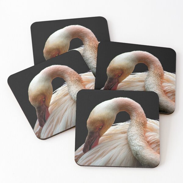 Item preview, Birds 113 - (c) ben yassa designed and sold by beny .