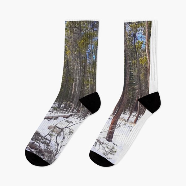 Item preview, Warm Forest designed and sold by bleujun64.