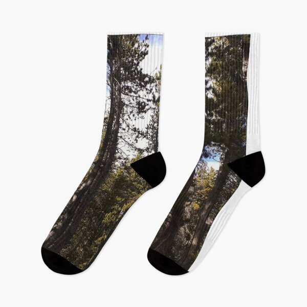 Item preview, Trees designed and sold by bleujun64.