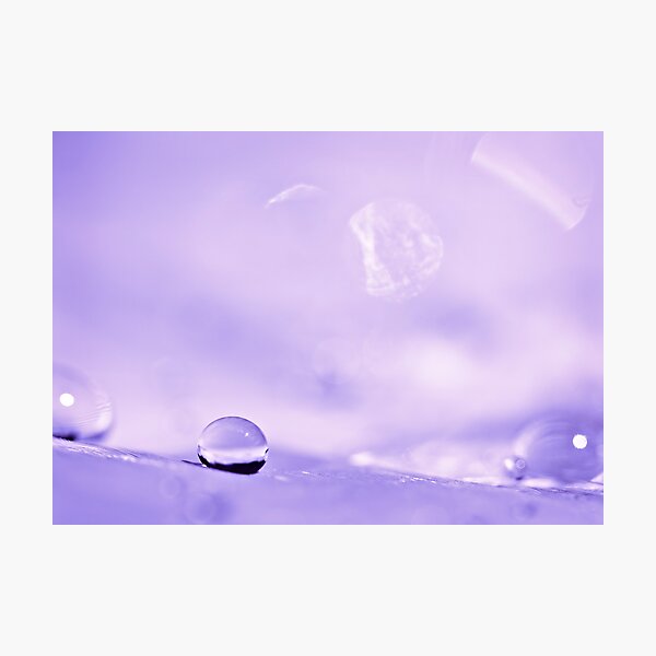 Artikelvorschau, Purple and Pink Dream entworfen und verkauft von Lori411.