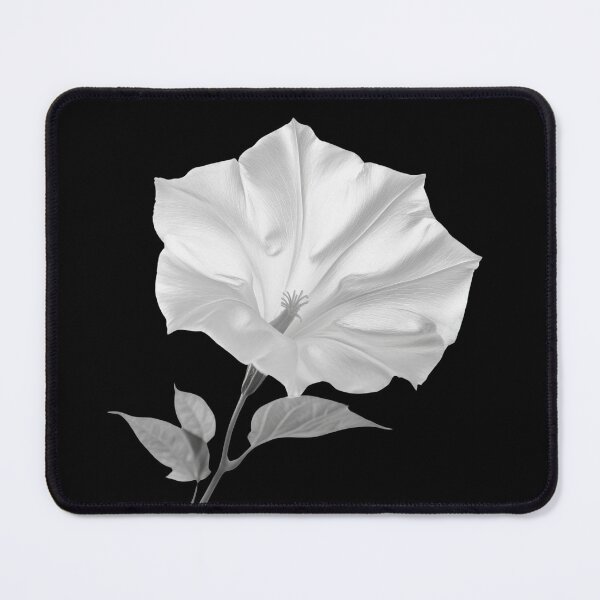Item preview, Field Bindweed wild flower in black and white colors v1 designed and sold by PiranhaEatFashion.