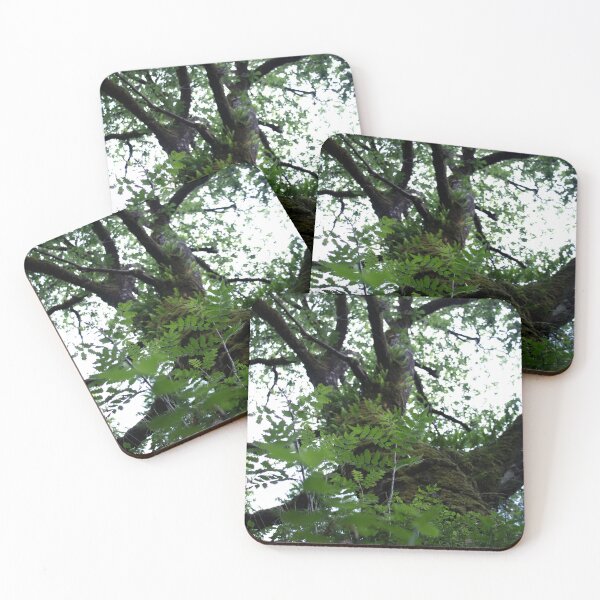 Item preview, The Trees are Listening designed and sold by alexmilton.