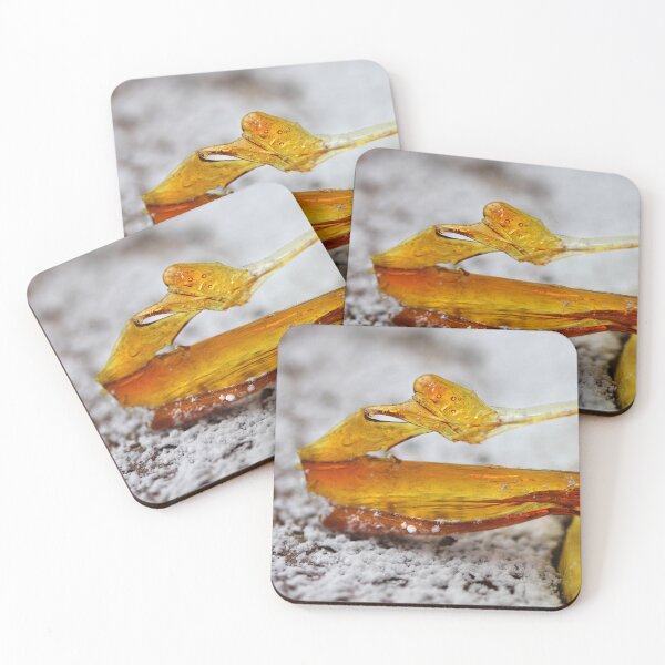 Item preview, Tarte au Citron designed and sold by SmoothBreeze7 | Liz Collet Photography.