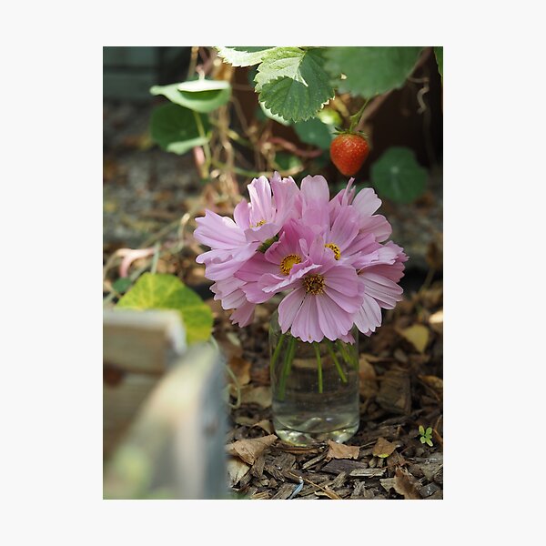Item preview, Pink cosmos in a flower vase designed and sold by Annabergert.