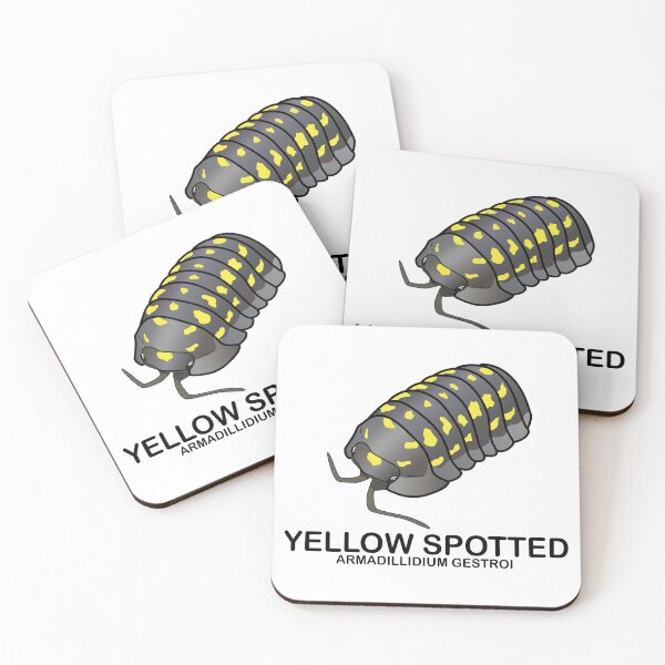Item preview, Armadillidium Gestroi 'Yellow Spotted Isopod' designed and sold by ArmadilloPods.