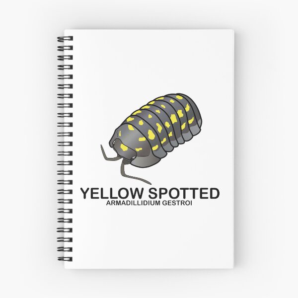 Item preview, Armadillidium Gestroi 'Yellow Spotted Isopod' designed and sold by ArmadilloPods.