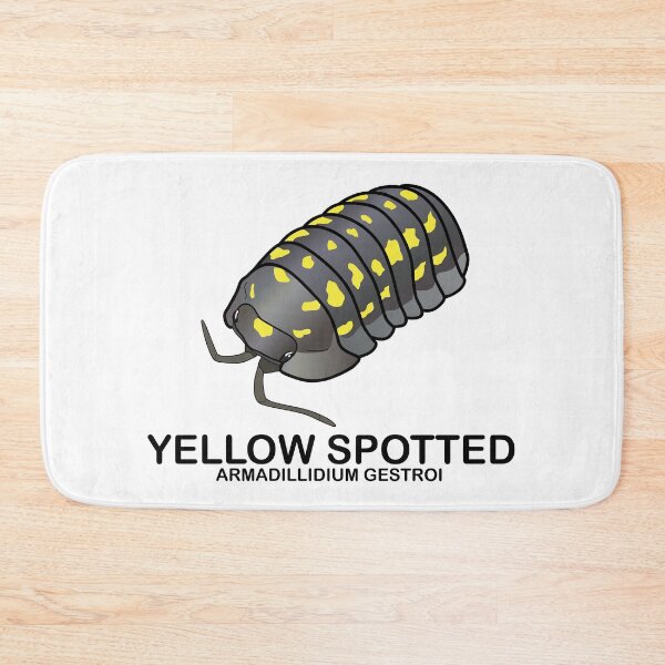 Item preview, Armadillidium Gestroi 'Yellow Spotted Isopod' designed and sold by ArmadilloPods.