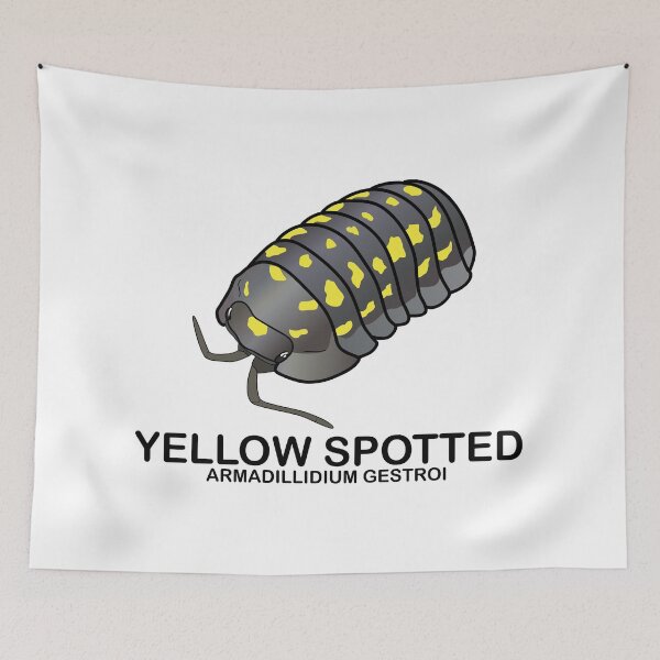 Item preview, Armadillidium Gestroi 'Yellow Spotted Isopod' designed and sold by ArmadilloPods.