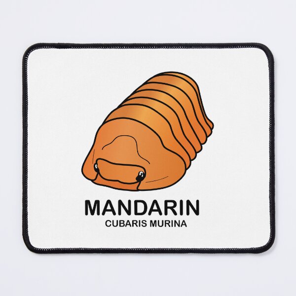 Item preview, Cubaris Murina 'Mandarin' designed and sold by ArmadilloPods.