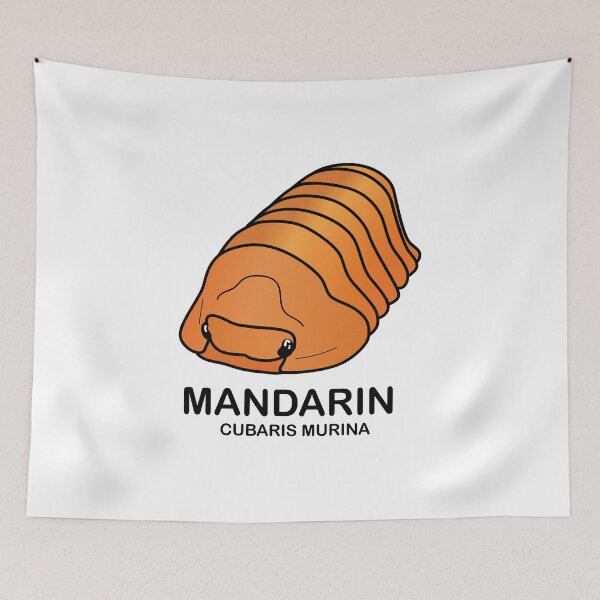 Item preview, Cubaris Murina 'Mandarin' designed and sold by ArmadilloPods.
