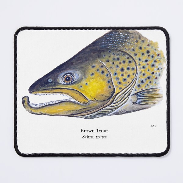 Item preview, Arrow River Brown Trout Painting designed and sold by Stephen Emms.