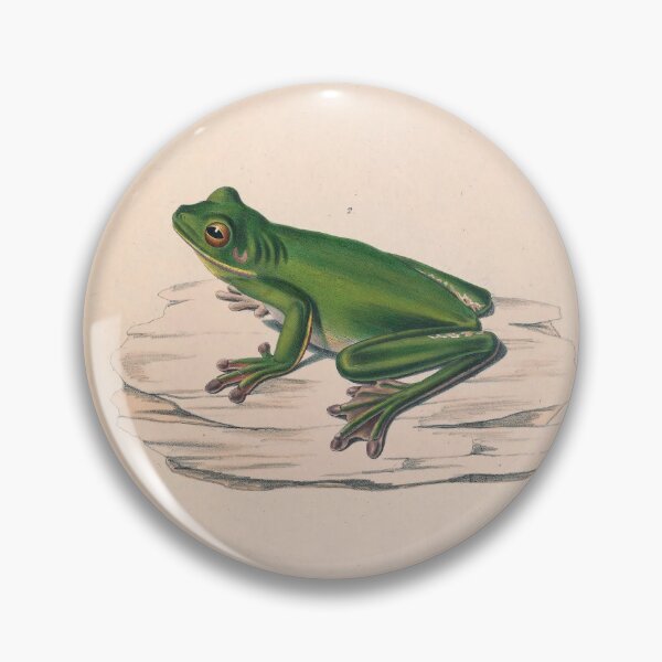 Item preview, Vintage Frog Zoological Print designed and sold by InnerCitadel.