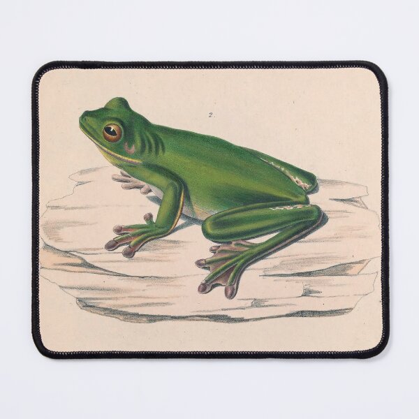 Item preview, Vintage Frog Zoological Print designed and sold by InnerCitadel.