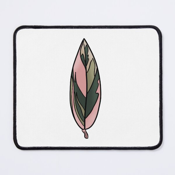 Item preview, Triostar Stromanthe designed and sold by Ekorn17.