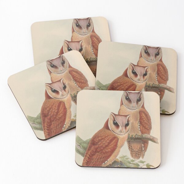 Item preview, Vintage Owl Ornithological Zoological Print designed and sold by InnerCitadel.