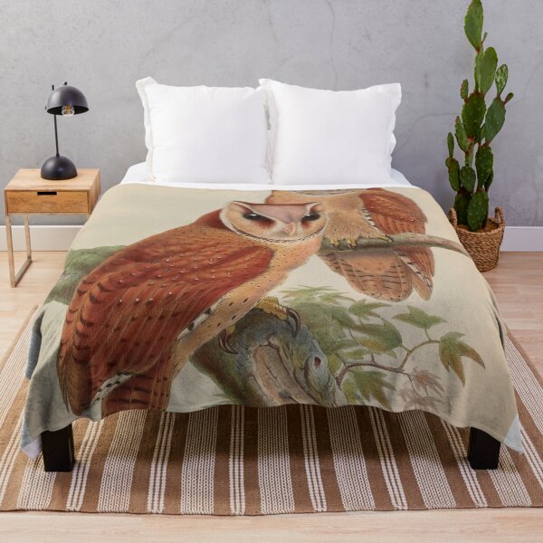 Item preview, Vintage Owl Ornithological Zoological Print designed and sold by InnerCitadel.