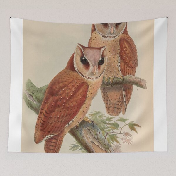 Item preview, Vintage Owl Ornithological Zoological Print designed and sold by InnerCitadel.