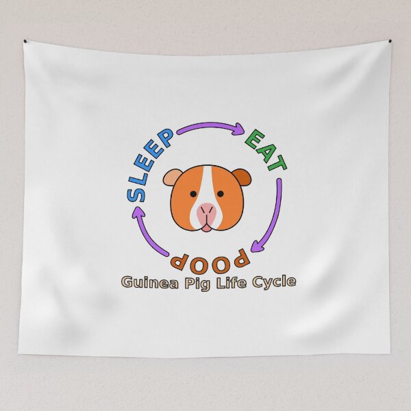 Item preview, Guinea Pig Life Cycle (Sleep/Eat/Poop) designed and sold by zzerga.