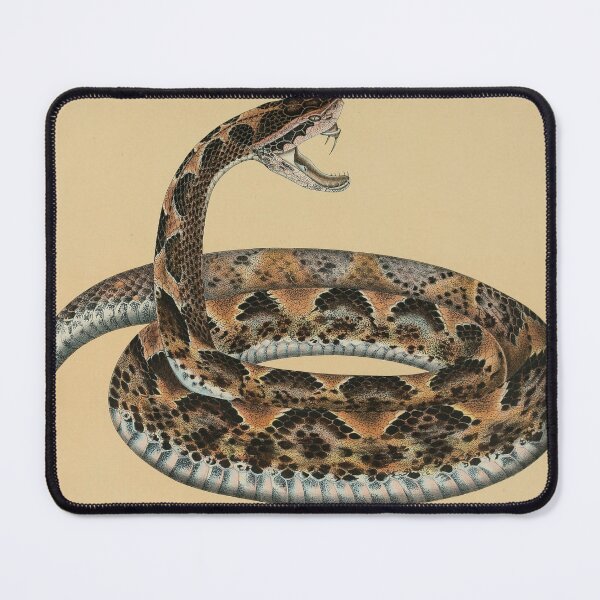 Item preview, Vintage Viper Zoological Print Reptile Biodiversity designed and sold by InnerCitadel.