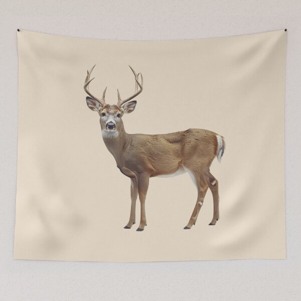 Item preview, White Tail Deer designed and sold by Myra365Art.