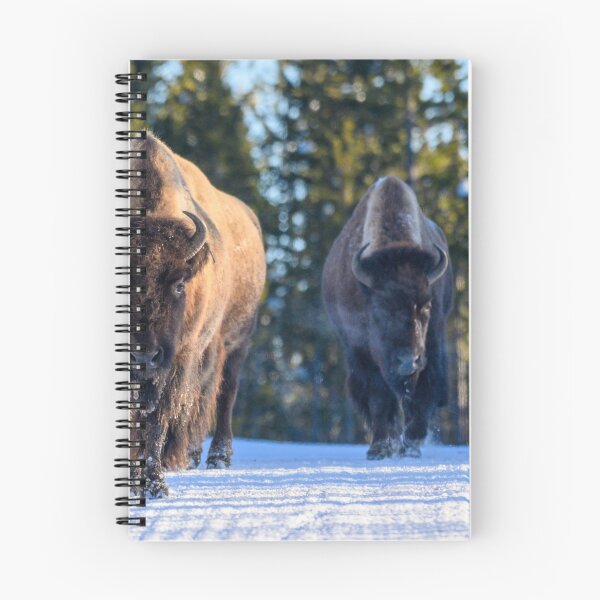 Item preview, Yellowstone Bison in Winter designed and sold by JulieBarrick.