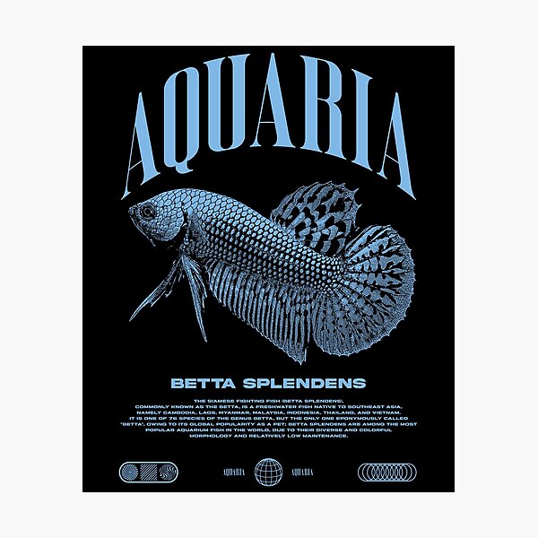 Item preview, Betta Fish Keeper Modern Streetwear designed and sold by JRRTs.
