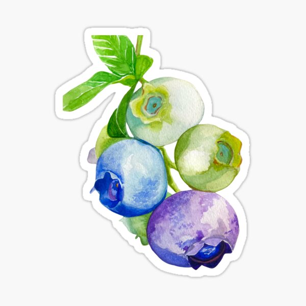 Artikel-Vorschau von Blaubeerstrauß, designt und verkauft von iampickledtink.