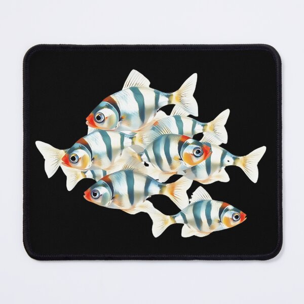 Item preview, Illustration Of A Group Of Zebrafish (Danio rerio) - Swimming in water. Th - Fish Lover  designed and sold by Smix Pixels.