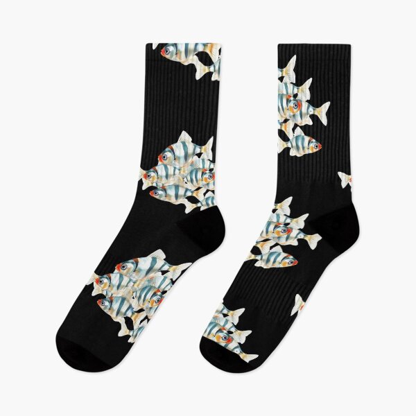 Item preview, Illustration Of A Group Of Zebrafish (Danio rerio) - Swimming in water. Th - Fish Lover  designed and sold by Smix Pixels.