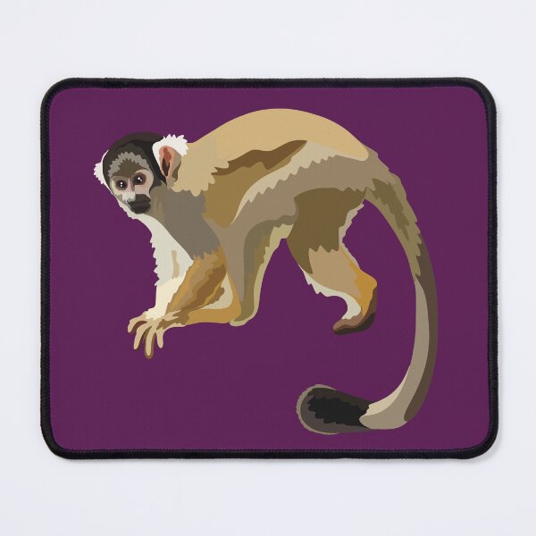 Artikelvorschau, B steht für Black Capped Squirrel Monkey, Black-Capped Squirrel Monkey – Illustration eines südamerikanischen Primaten entworfen und verkauft von PrettylittlepastelUk.