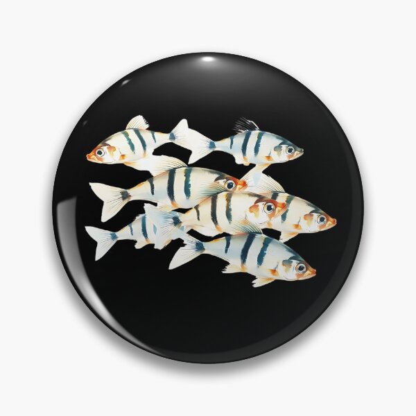 Item preview, Illustration Of A Group Of Zebrafish (Danio rerio) - Swimming in water. Th - Fish Lover  designed and sold by Smix Pixels.