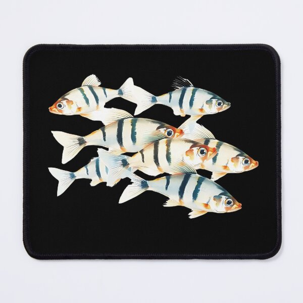 Item preview, Illustration Of A Group Of Zebrafish (Danio rerio) - Swimming in water. Th - Fish Lover designed and sold by Smix Pixels.