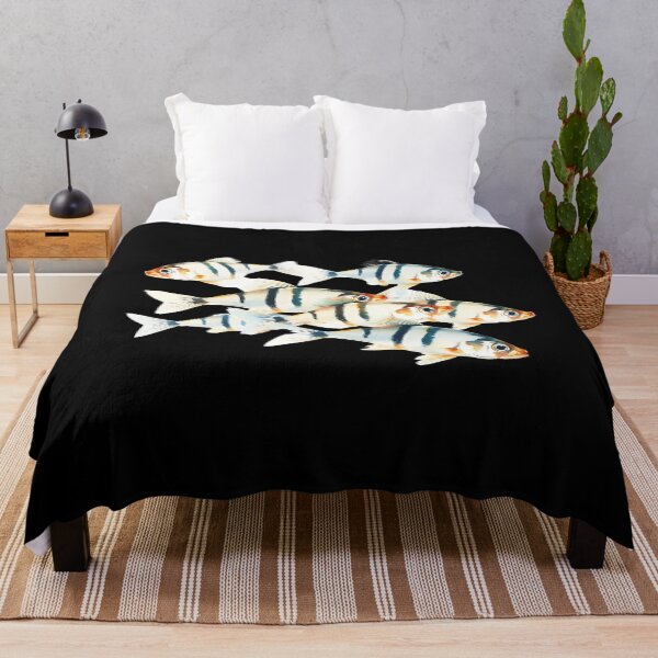Item preview, Illustration Of A Group Of Zebrafish (Danio rerio) - Swimming in water. Th - Fish Lover  designed and sold by Smix Pixels.