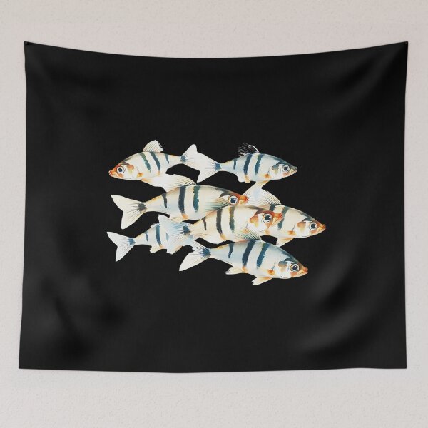 Item preview, Illustration Of A Group Of Zebrafish (Danio rerio) - Swimming in water. Th - Fish Lover  designed and sold by Smix Pixels.