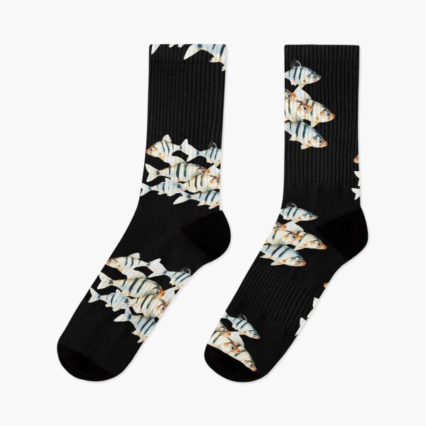 Item preview, Illustration Of A Group Of Zebrafish (Danio rerio) - Swimming in water. Th - Fish Lover  designed and sold by Smix Pixels.