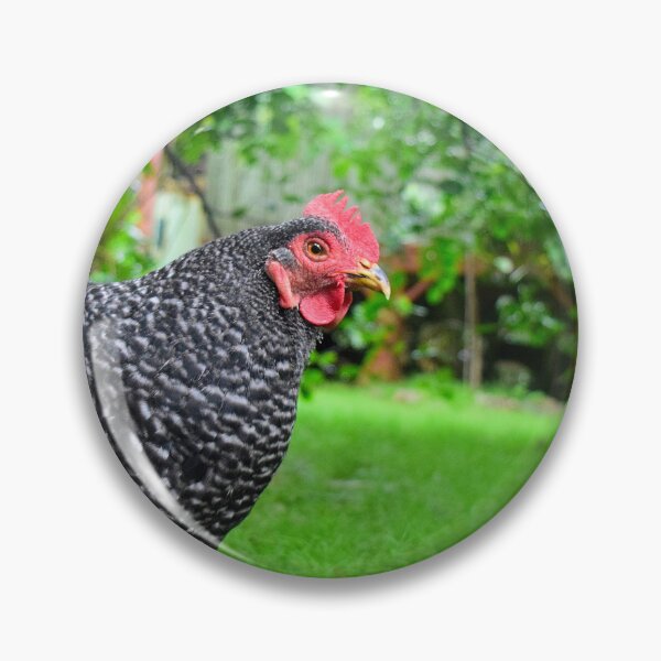 Item preview, A Hen's Life designed and sold by SaritaTrex.