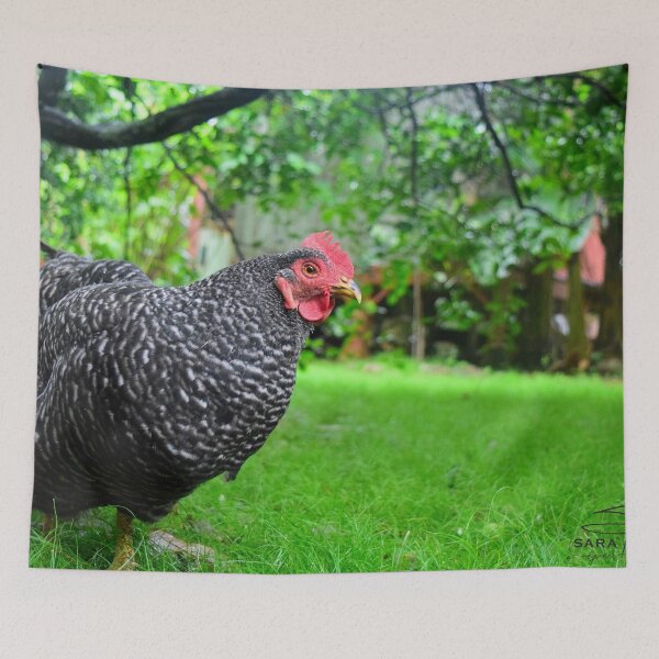 Item preview, A Hen's Life designed and sold by SaritaTrex.