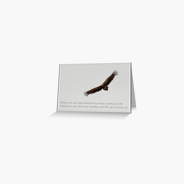 Friends Greeting Card