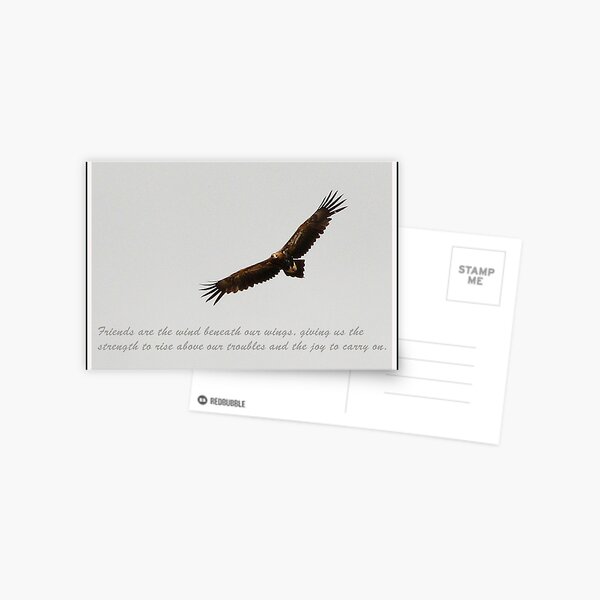 Friends Postcard