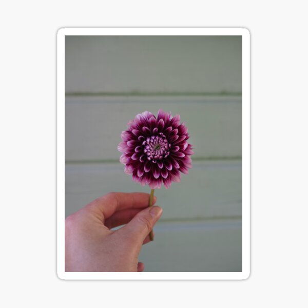 Item preview, Beautiful dahlia blossom designed and sold by Annabergert.