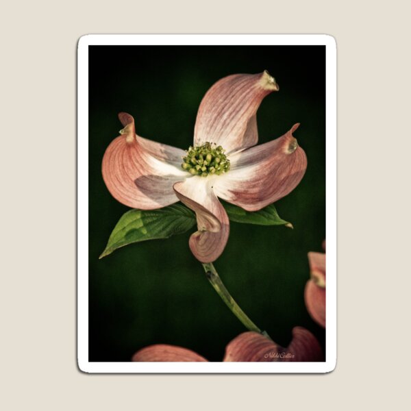Item preview, Singled out designed and sold by Nikki Collier.