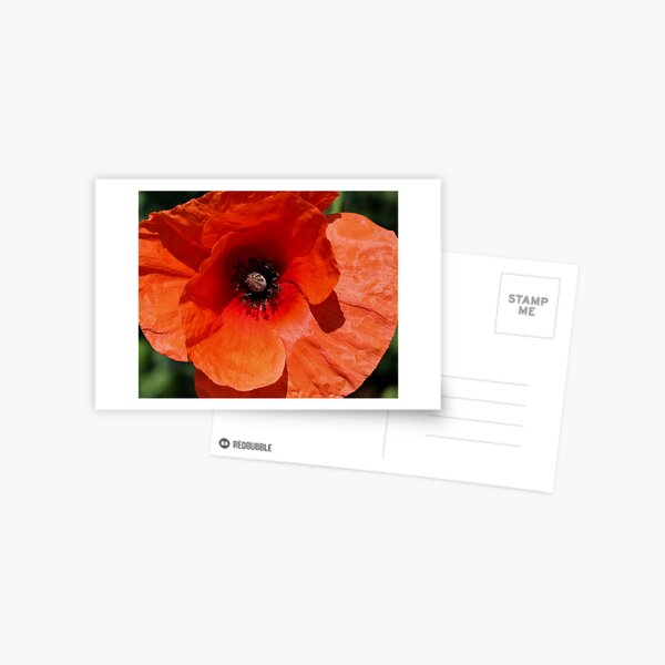 Item preview, The Poppy designed and sold by Ravens Rest Studio.