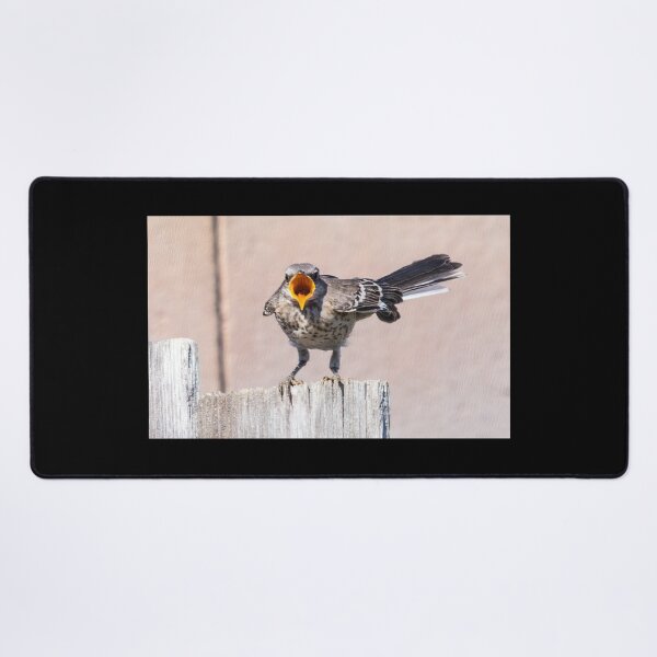 Item preview, Hungry Mockingbird Fledgling Sees Mom Coming With Food designed and sold by CarolM.