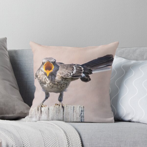 Item preview, Hungry Mockingbird Fledgling Sees Mom Coming With Food designed and sold by CarolM.