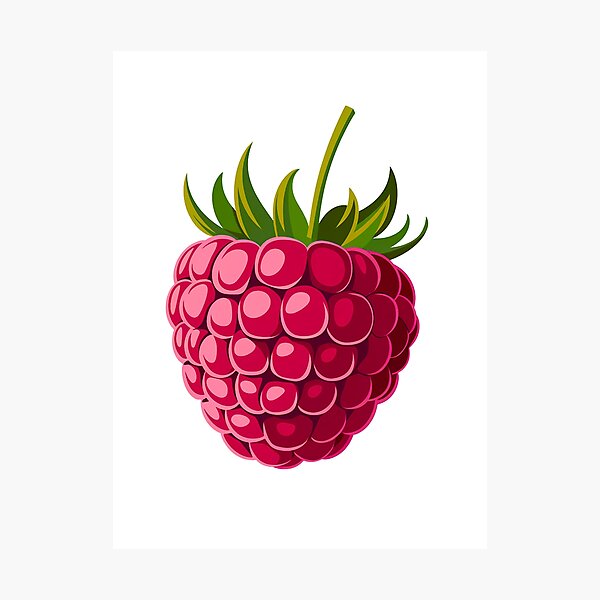 Item preview, Raspberry fruit | Plant lover | Greenpower | Fruit of the world designed and sold by RedCircleArt.