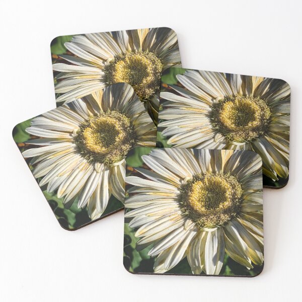 Item preview, White Gerbera Daisy designed and sold by Douglas E. Welch Design and Photography.