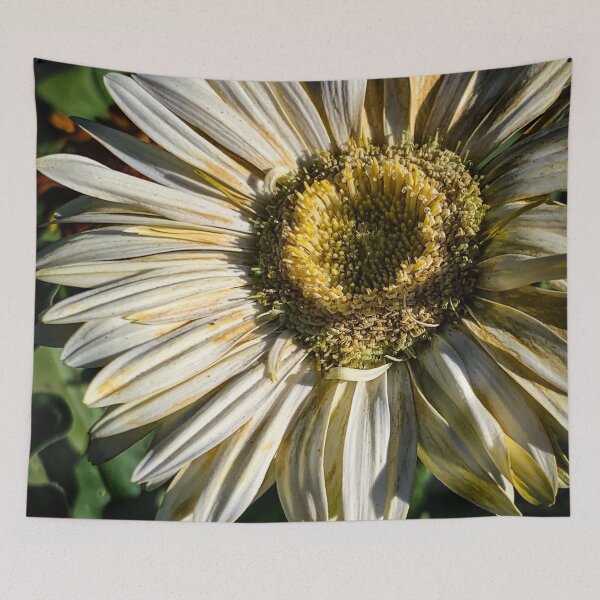 Item preview, White Gerbera Daisy designed and sold by Douglas E. Welch Design and Photography.