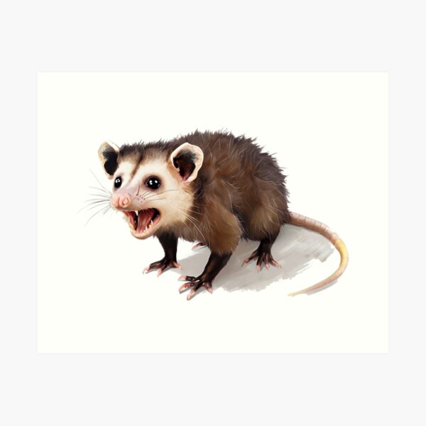 Item preview, Baby possum designed and sold by FreshArtFusion.
