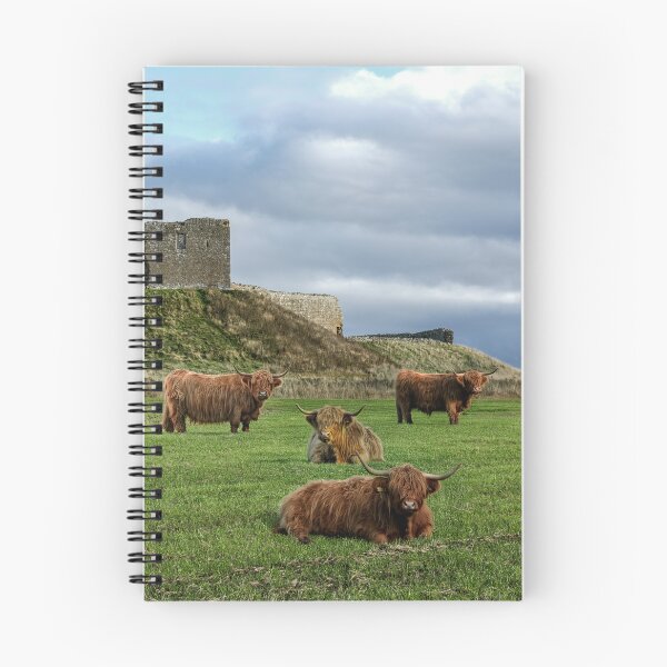 Item preview, Duffus Castle Highland Cattle designed and sold by Tom McPherson Photography.