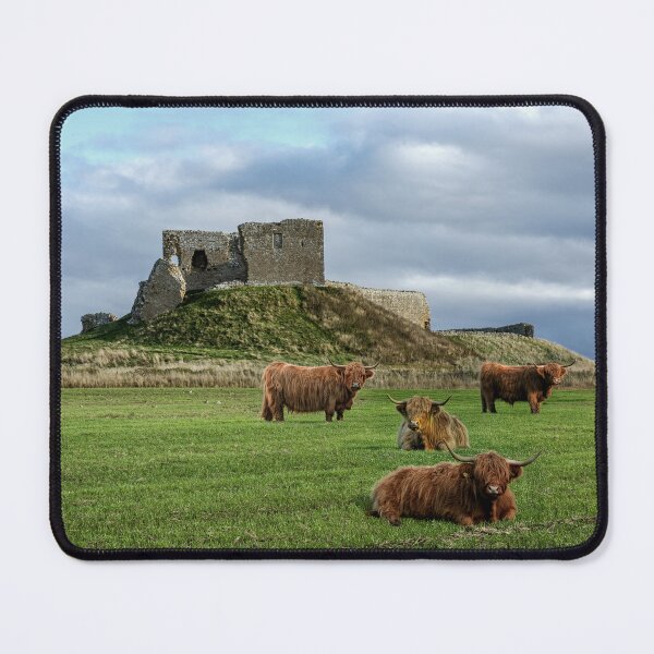 Item preview, Duffus Castle Highland Cattle designed and sold by Tom McPherson Photography.